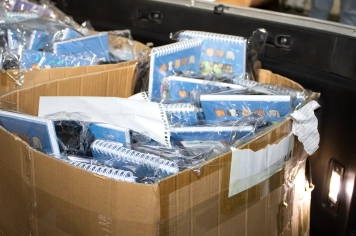 Foto - Natal Iluminado Santa Terezinha 2025