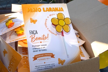 Foto - Maio Laranja